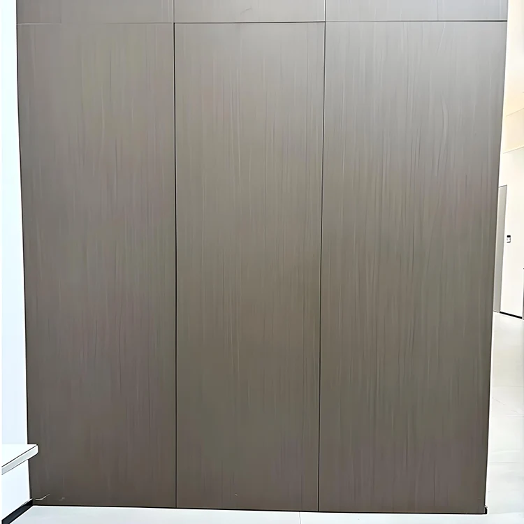 Porte invisible intégrée au mur